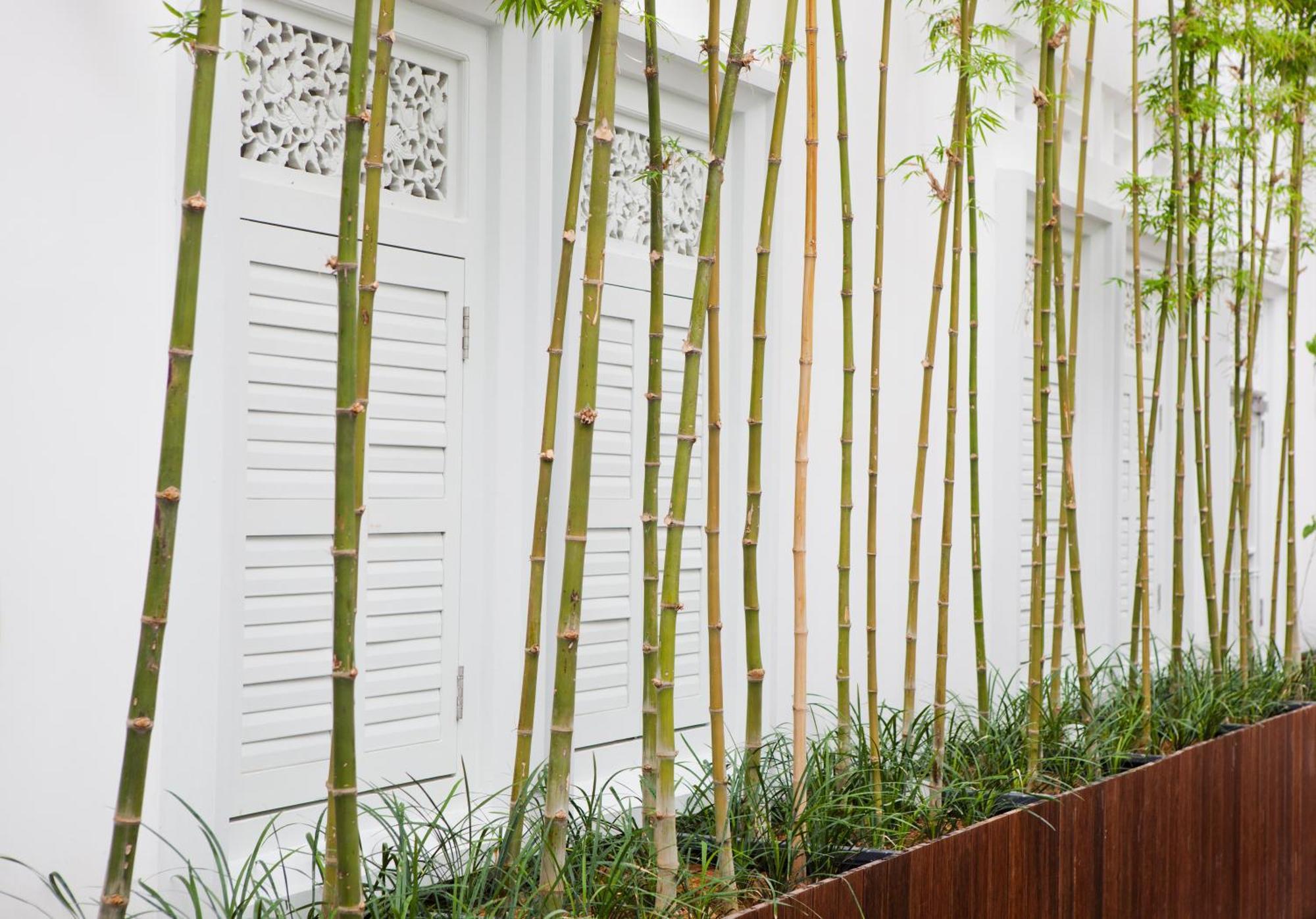 The Sultan Hotel Singapore Exterior photo